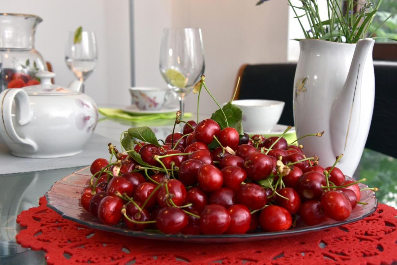 Sendy Holiday Home Ražanac Zewnętrze zdjęcie