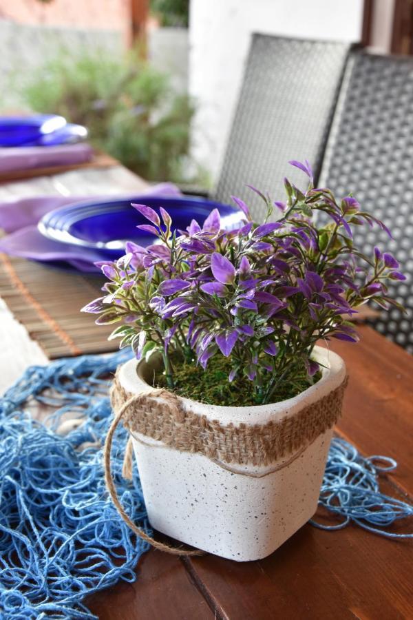 Sendy Holiday Home Ražanac Zewnętrze zdjęcie